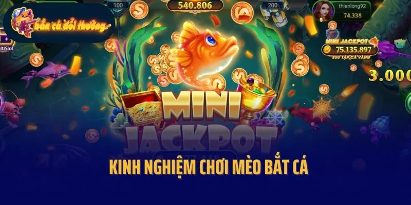 Kinh nghiệm chơi Mèo bắt cá