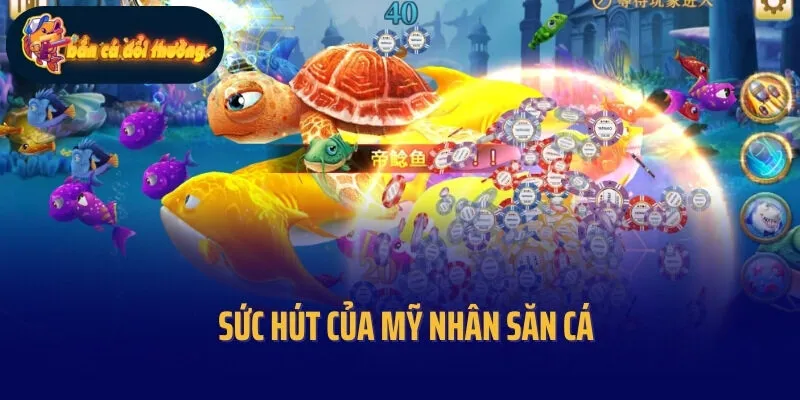 Sức hút của Mỹ nhân săn cá