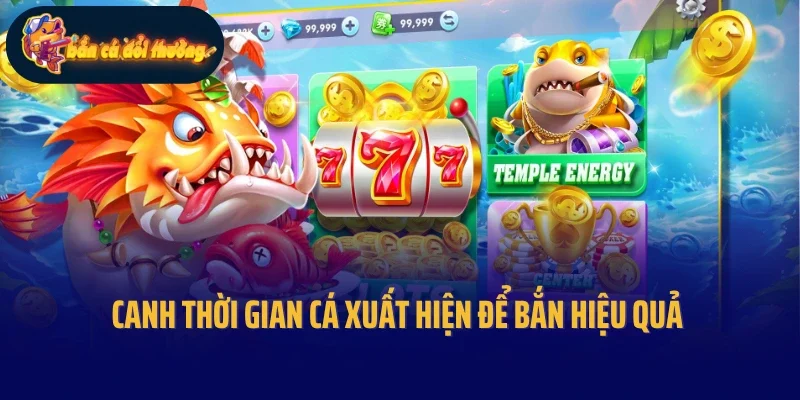 Canh thời gian cá xuất hiện để bắn hiệu quả