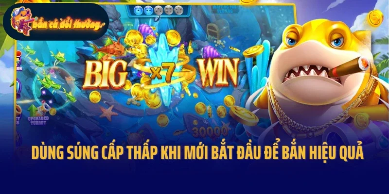 Dùng súng cấp thấp khi mới bắt đầu để bắn hiệu quả