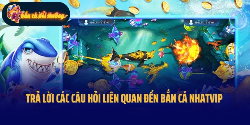 Trả lời các câu hỏi liên quan đến bắn cá Nhatvip